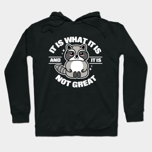 It Is What It Is And It Is Not Great Raccoon Hoodie